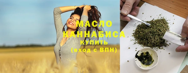 молекула духа Снежногорск