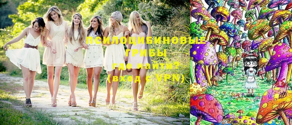 мет Алексин
