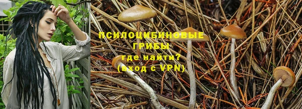 тгк Алзамай