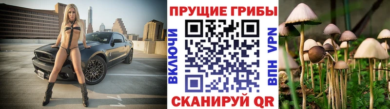 Галлюциногенные грибы Cubensis Бавлы